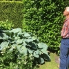 BG and Hosta