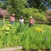 BGs exploring