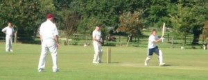 Cricket SL4