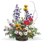 arrangement