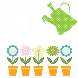 Sheilas Spring Bulbs