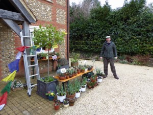 Nick selling the outdoor plants