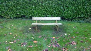 bench